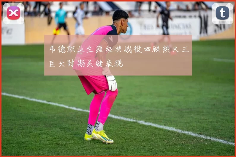 韦德职业生涯经典战役回顾热火三巨头时期关键表现