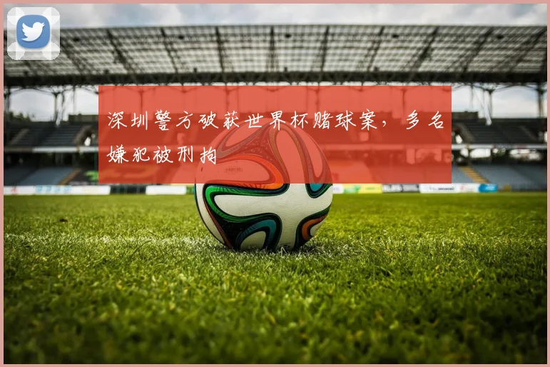 深圳警方破获世界杯赌球案，多名嫌犯被刑拘