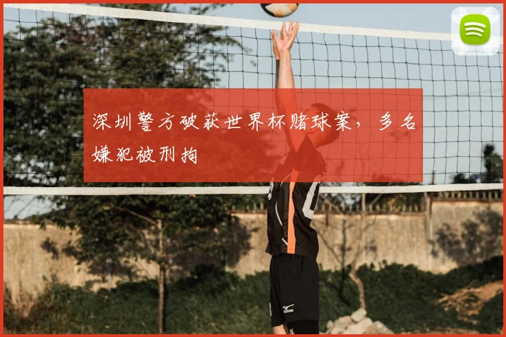 深圳警方破获世界杯赌球案，多名嫌犯被刑拘