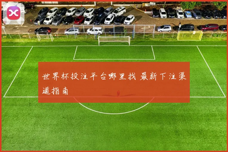 世界杯投注平台哪里找 最新下注渠道指南