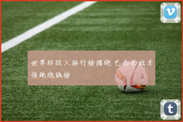 世界杯投入排行榜揭晓 巴西西班牙领跑烧钱榜